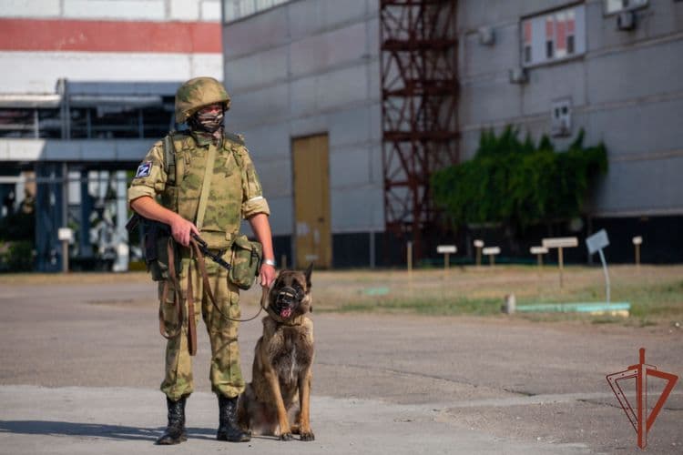 Фото условий